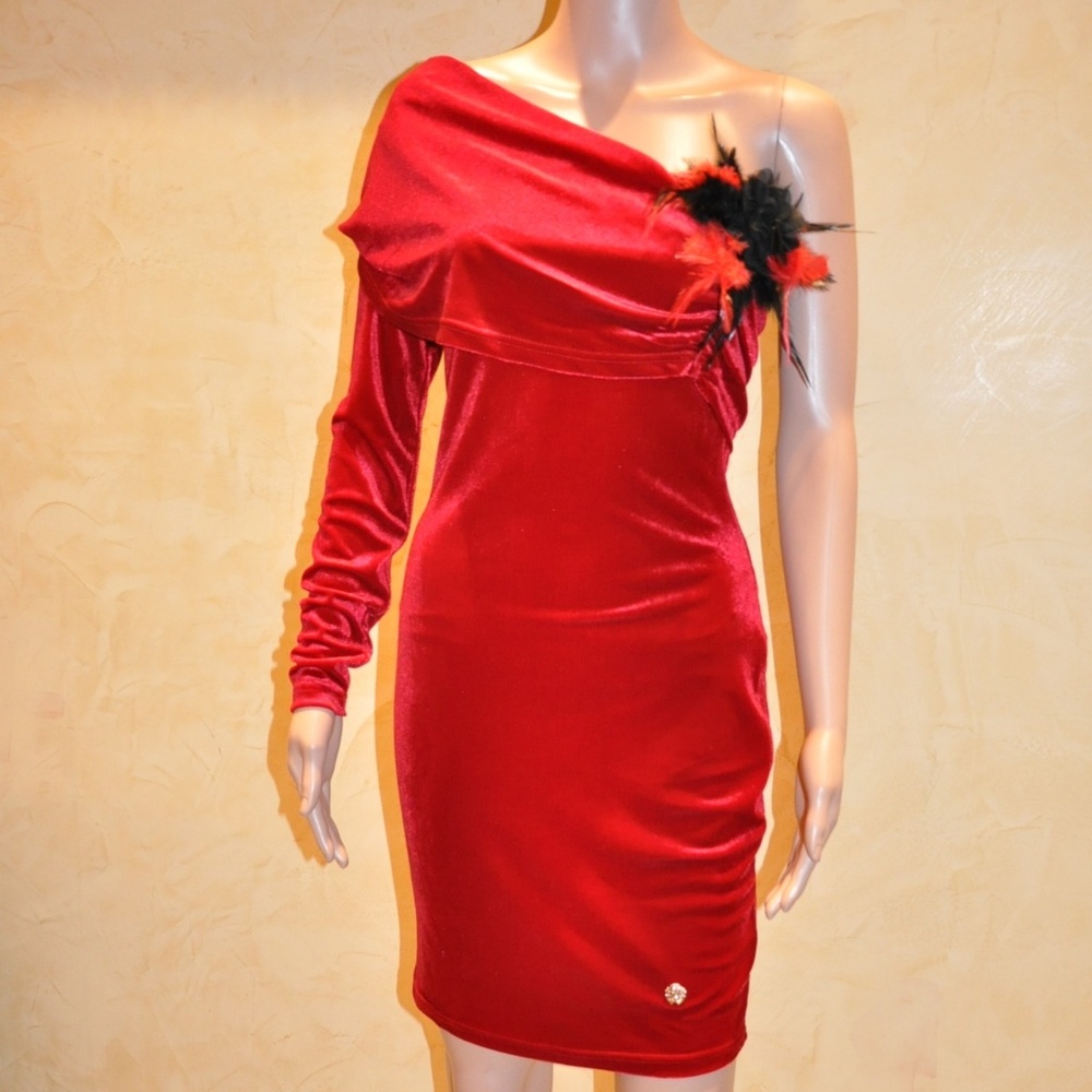 Red Velvet Dress with Feather by European Designer